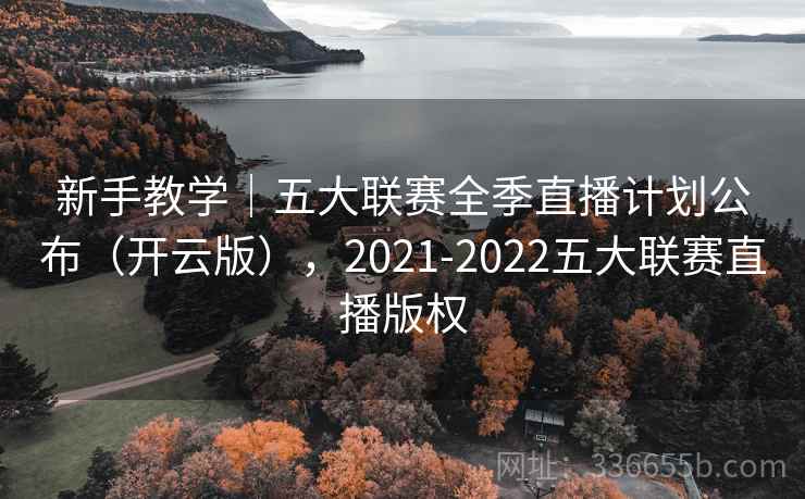 新手教学|五大联赛全季直播计划公布(开云版),2021-2022五大联赛直播版权