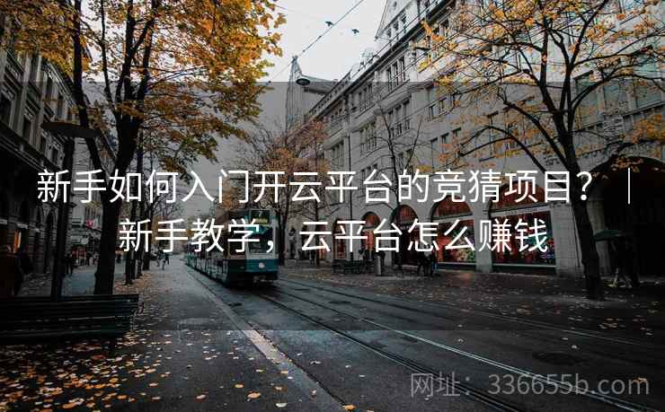 新手如何入门开云平台的竞猜项目?|新手教学,云平台怎么赚钱