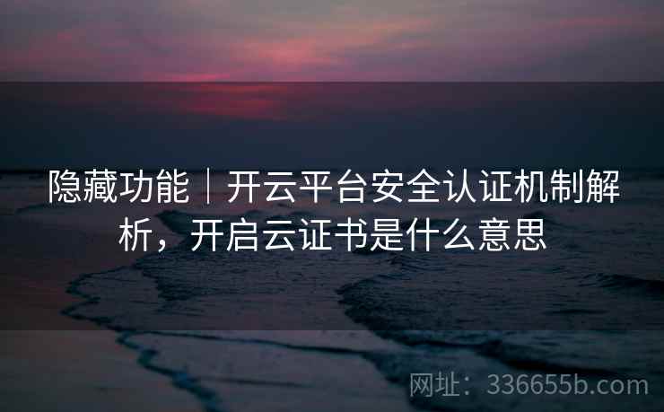 隐藏功能|开云平台安全认证机制解析,开启云证书是什么意思
