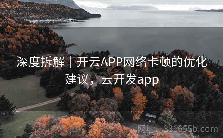 深度拆解｜开云APP网络卡顿的优化建议，云开发app